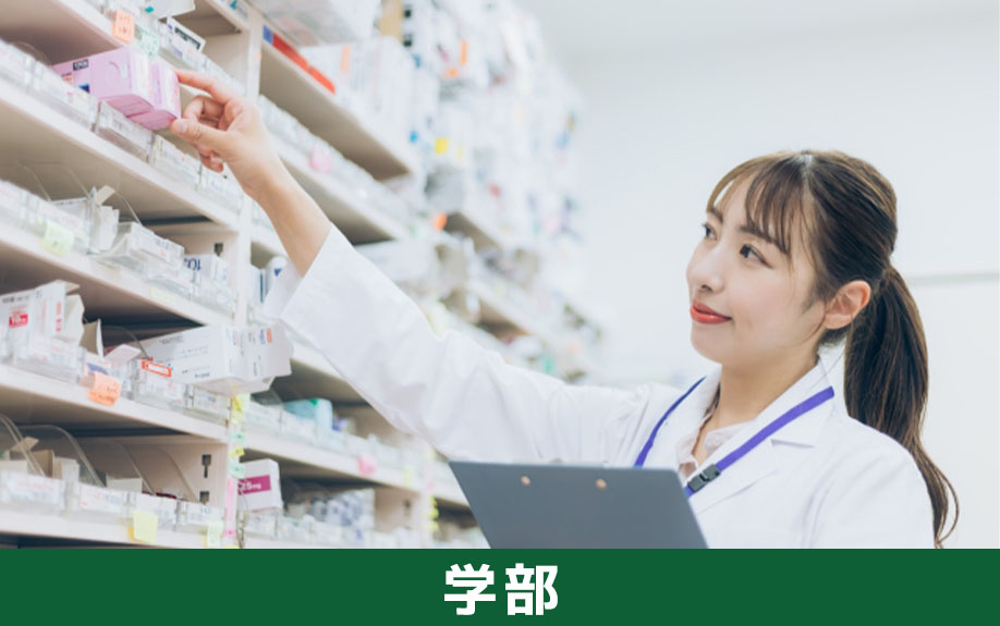 京田辺市の教育機関!同志社女子大学が誇る4学部をご紹介