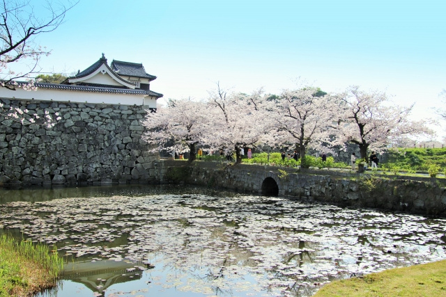 「福岡城跡」の概要