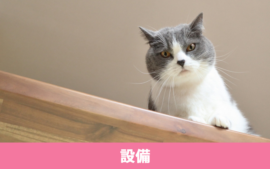 ペット共生型賃貸についている設備