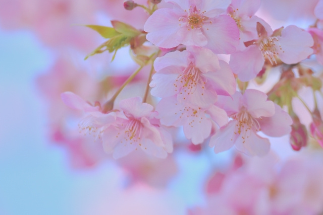 「賃貸住宅への引っ越しの挨拶ってした方がいいの?引っ越しマナーなど詳しく解説!」まとめ