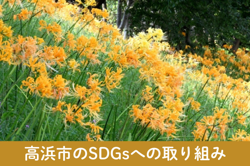 高浜市のSDGsへの取り組み