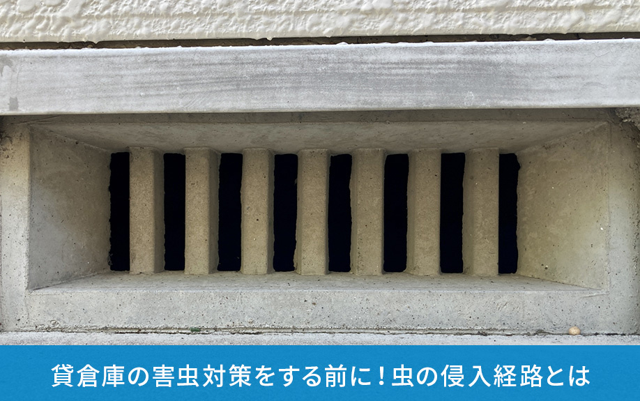 貸倉庫の害虫対策をする前に!虫の侵入経路とは