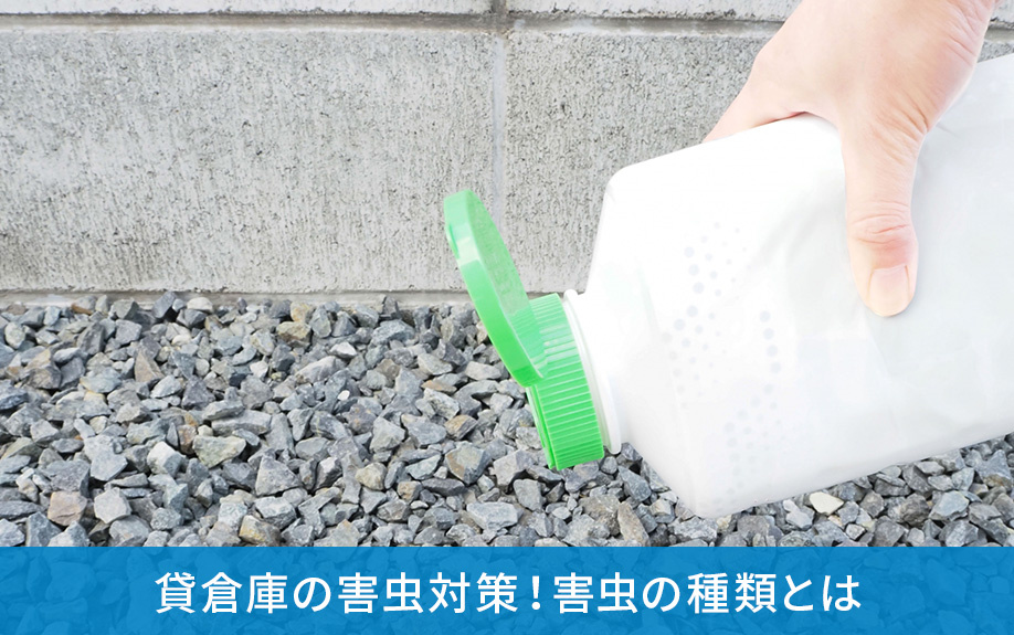 貸倉庫の害虫対策!害虫の種類とは