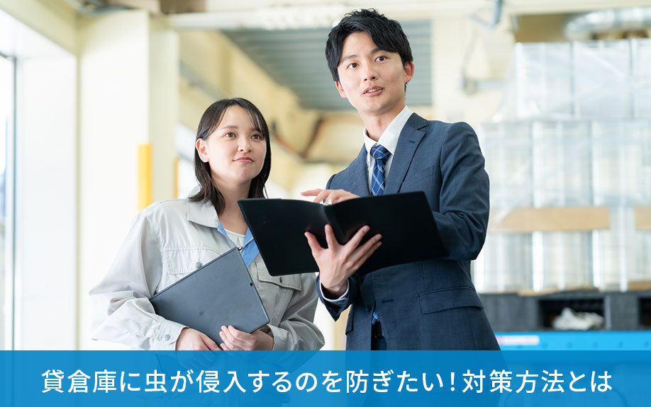 貸倉庫に虫が侵入するのを防ぎたい!対策方法とは