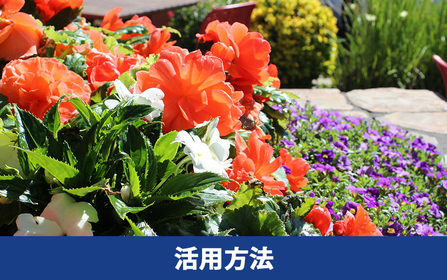 土地のデッドスペースに実践したい有効な活用方法とは