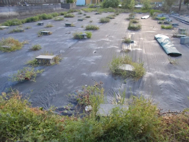 遊休農地とはどのような土地か