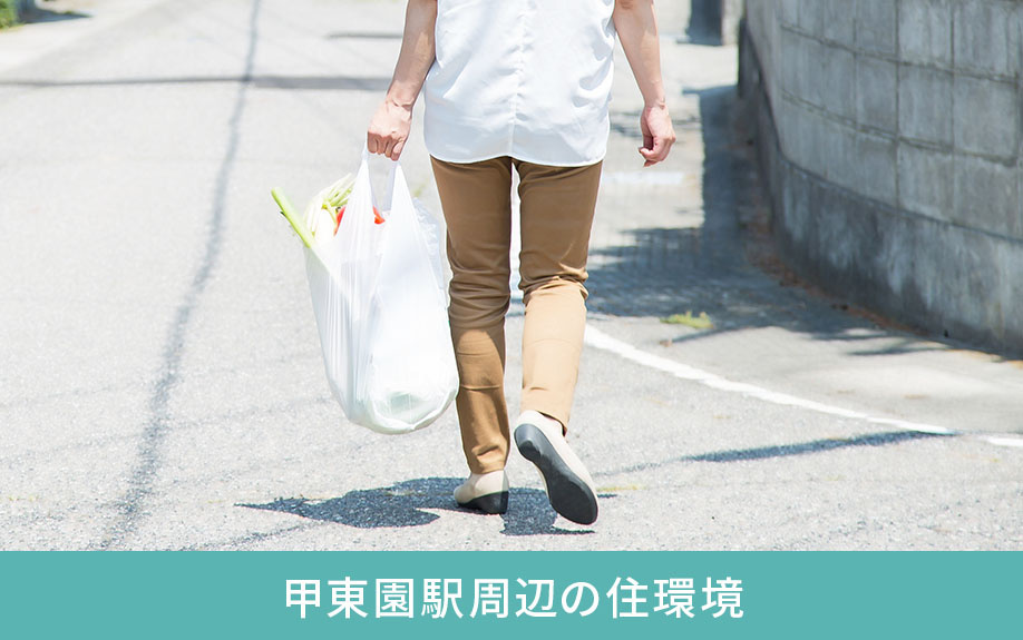 甲東園駅周辺の住環境