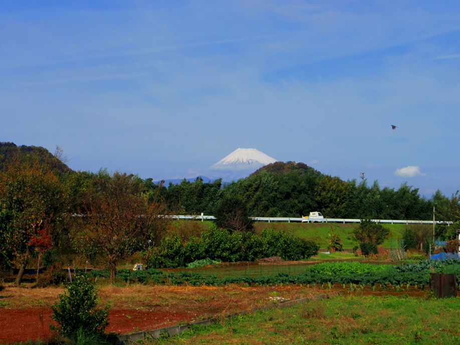 オープンハウス開催中☆新築分譲住宅 伊豆の国市四日町の詳細です!