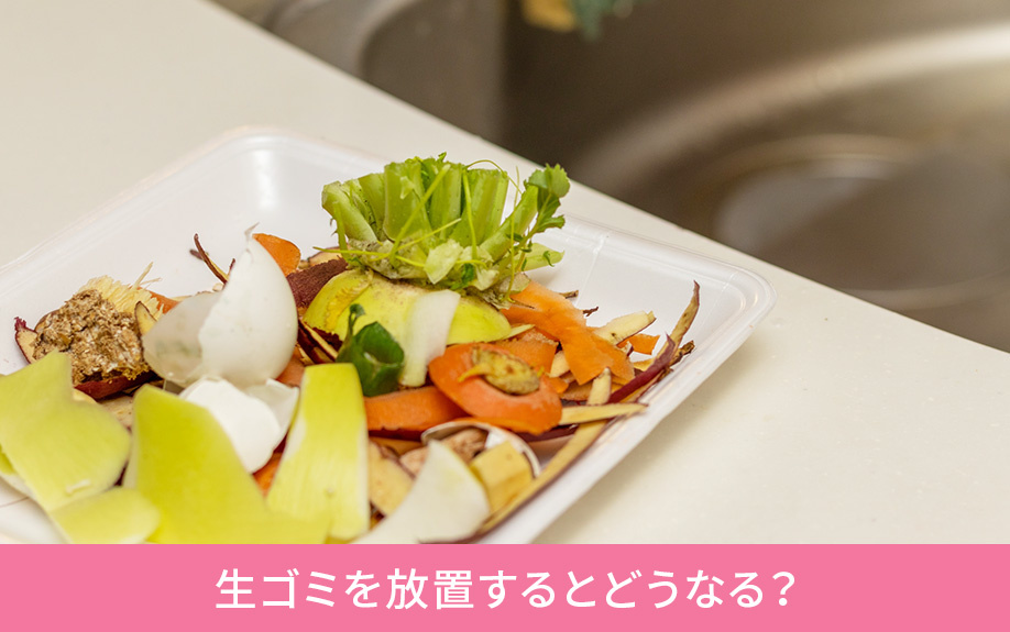 賃貸物件で生ゴミを放置するとどうなる?