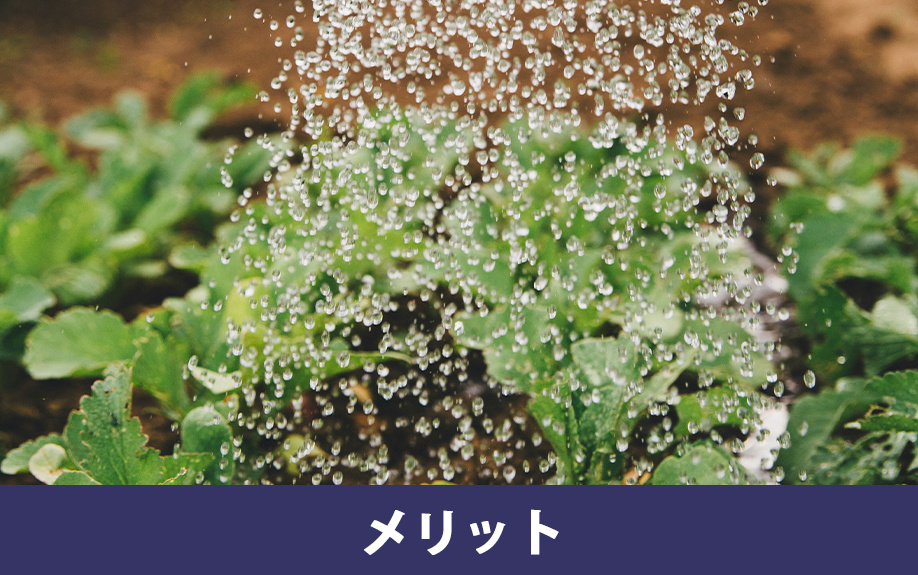 庭のある一戸建てのメリット