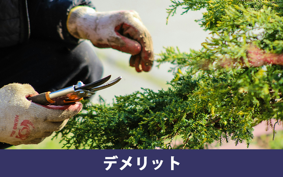 庭のある一戸建てのデメリット