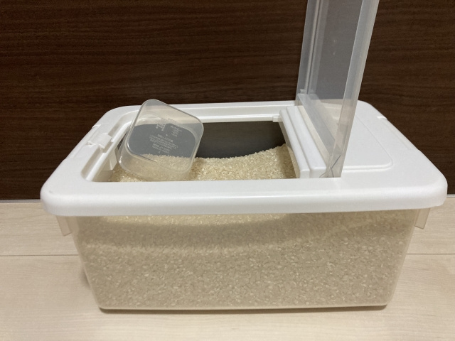 賃貸物件で出やすいシバンムシの駆除方法は?発生源や対策も解説