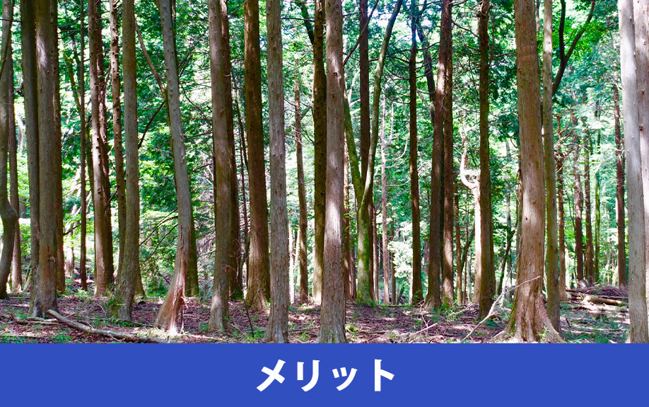 地目が山林の土地を購入して家を建てるメリット