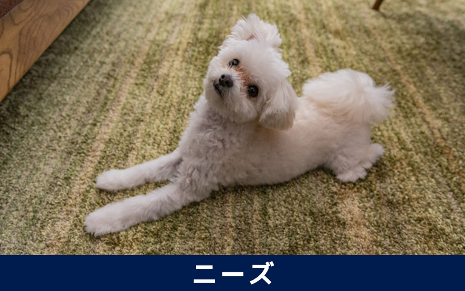 ニーズに応える空室対策のペットリフォーム