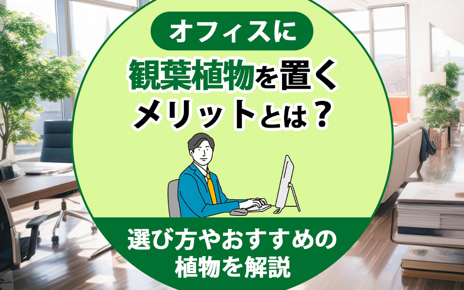 オフィスに観葉植物を置くメリットとは?選び方やおすすめの植物を解説