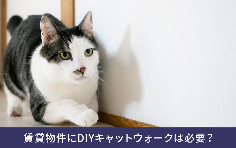 賃貸物件にDIYキャットウォークは必要?
