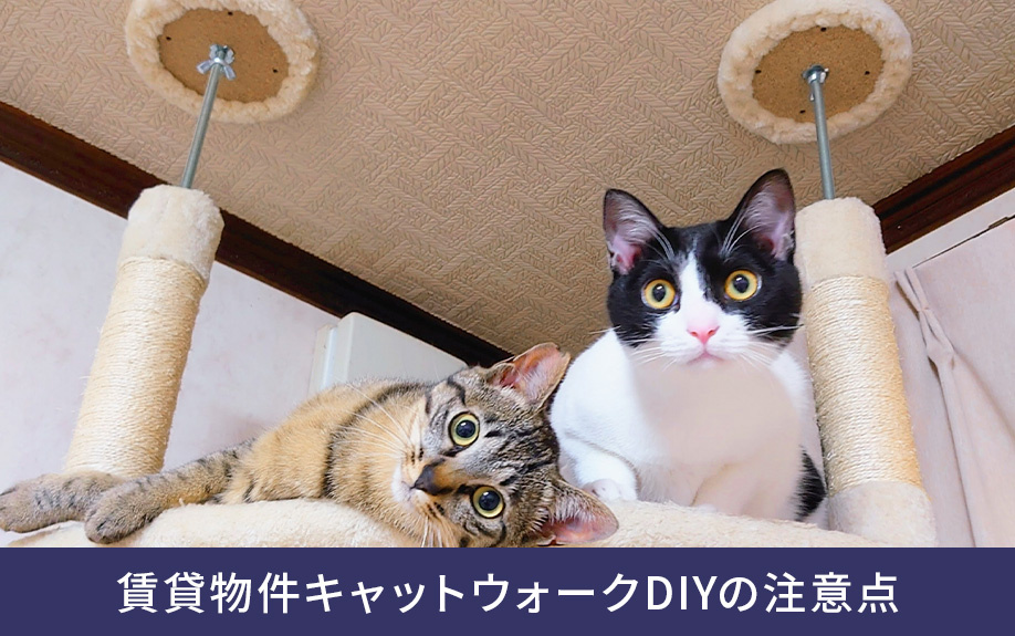 賃貸物件キャットウォークDIYの注意点