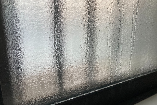 そもそもカビにはどんな種類がある?カビが好む環境って?