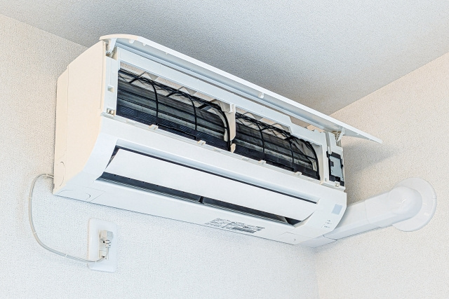 どうすればカビは予防できる?