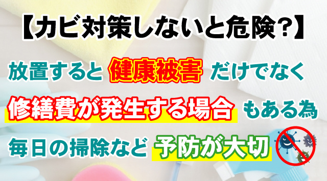 「一人暮らしの学生向け」カビはどんな所に生えやすいの?予防法や掃除方法は?詳しく解説!