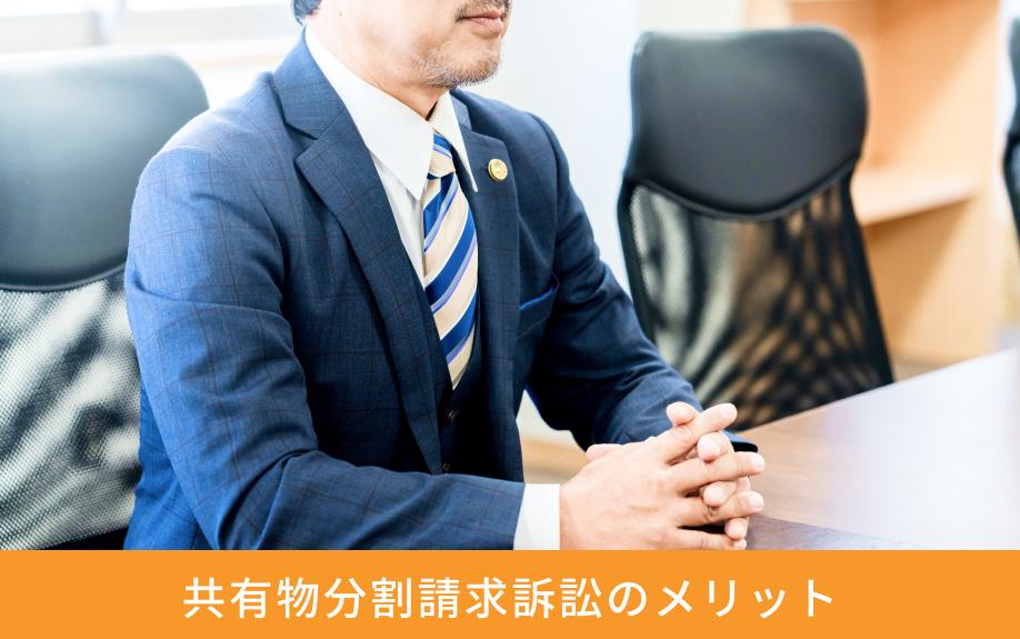共有物分割請求訴訟のメリット