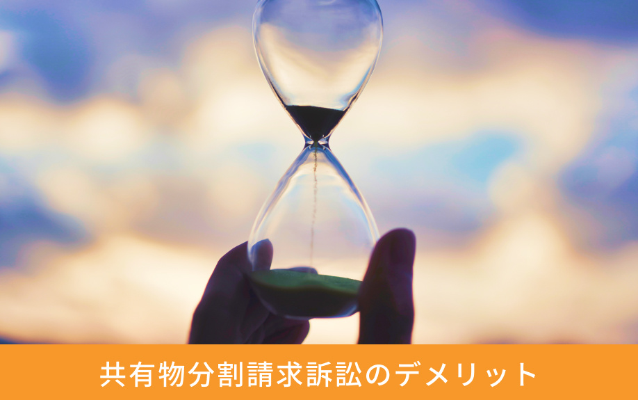 共有物分割請求訴訟のデメリット
