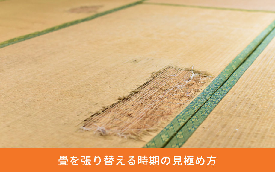 畳を張り替える時期の見極め方