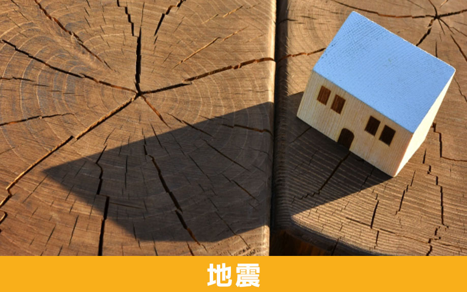 地震保険の仕組みと強化策