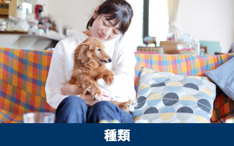 ペット可賃貸物件の種類と特徴