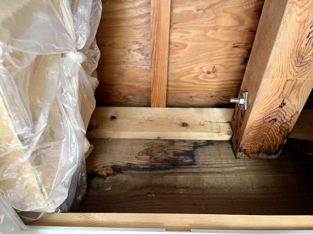 自宅に雨漏りがあると売却できない?修理や告知のポイントも解説