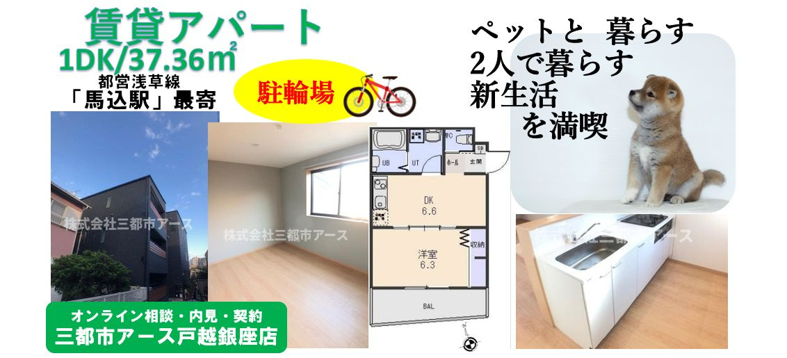 【acero】 ペット可の大田区の賃貸アパート1DK