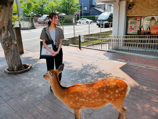 奈良女子大生の賃貸探しガイド|予算4万円台・大学近く・必須設備の決め手