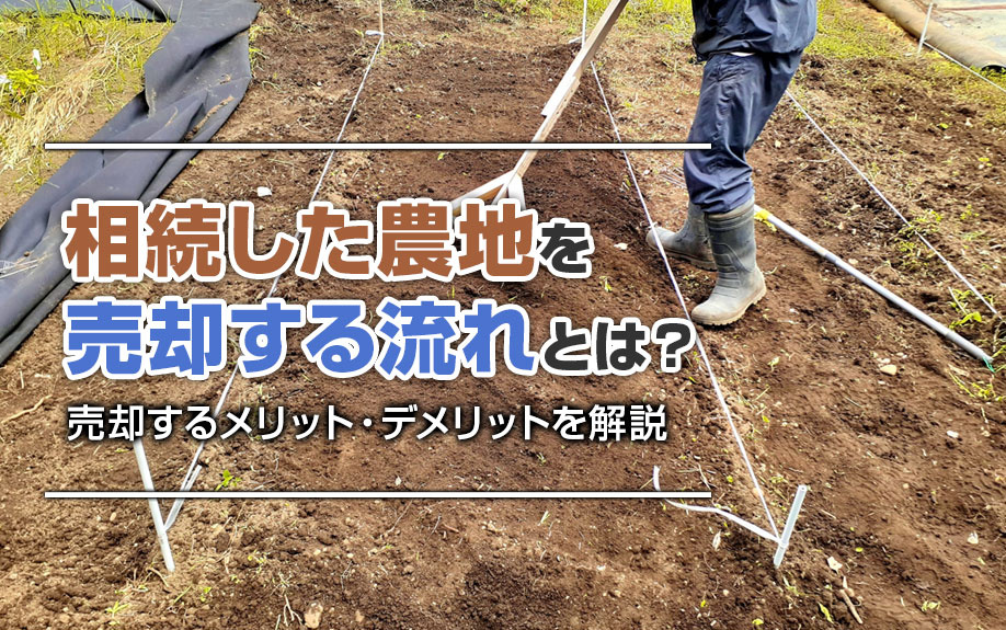 相続した農地を売却する流れとは?売却するメリット・デメリットを解説