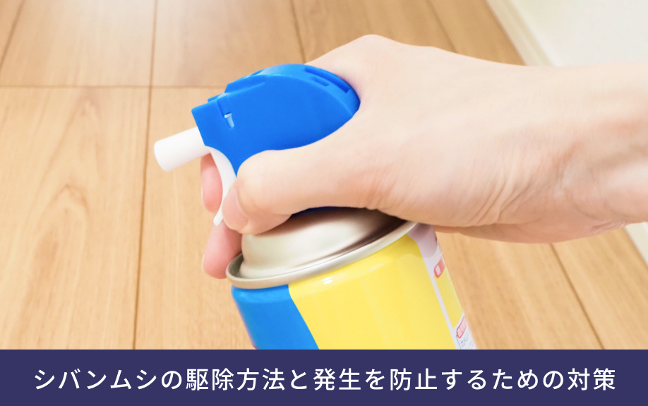 シバンムシの駆除方法と発生を防止するための対策