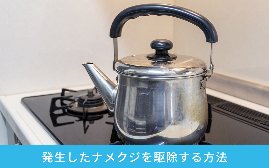 賃貸物件に発生したナメクジを駆除する方法