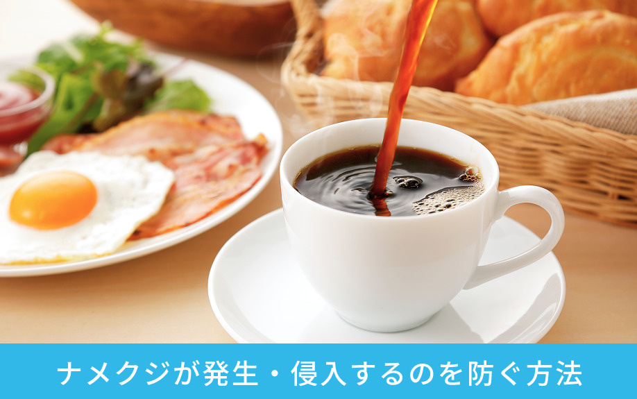 賃貸物件にナメクジが発生・侵入するのを防ぐ方法