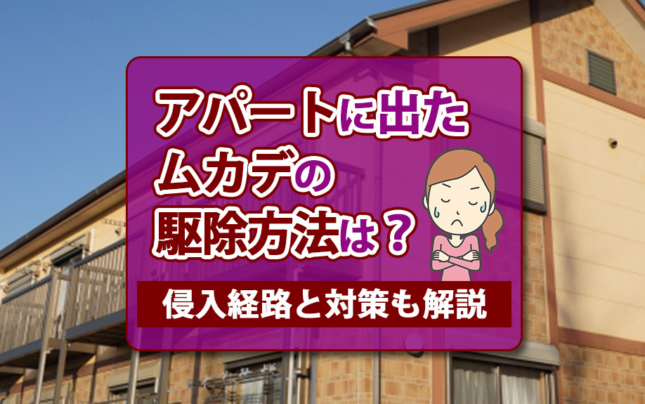 アパートに出たムカデの駆除方法は?侵入経路と対策も解説