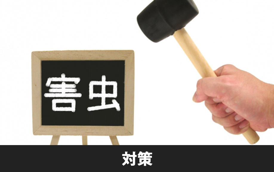 アパートのムカデ対策