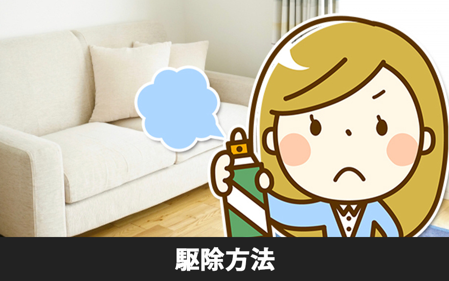 アパートのムカデを駆除する方法