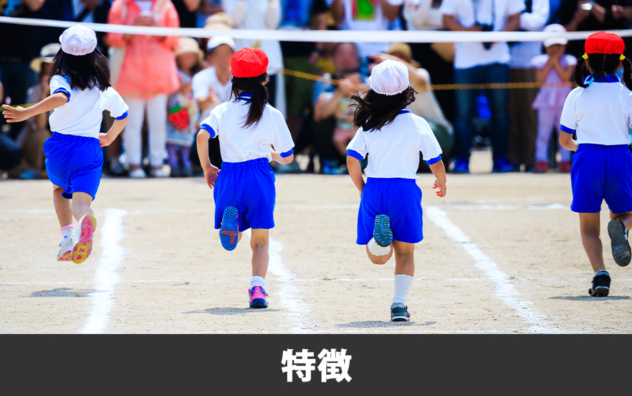 熊本市南区にある熊本市立川口小学校の主な特徴