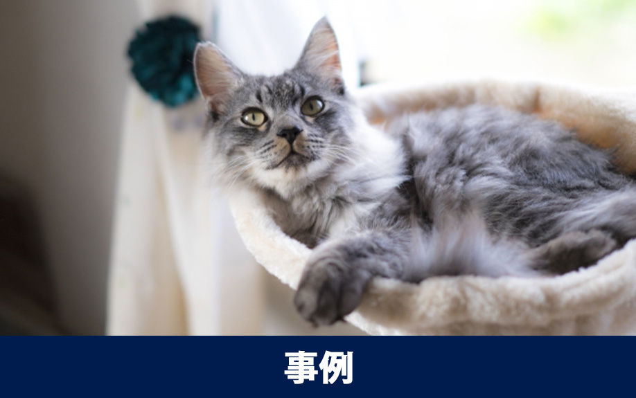 賃貸物件のにおいに関するクレームの具体的な事例