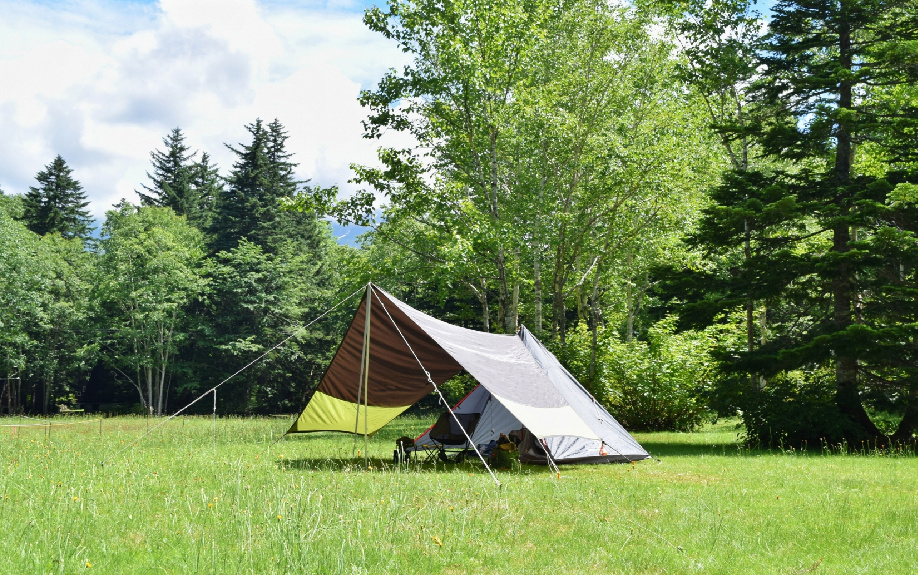 川崎市にある「川崎市立宮崎小学校」の概要