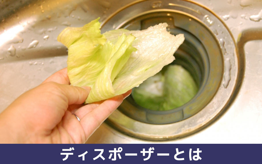 ディスポーザーとは