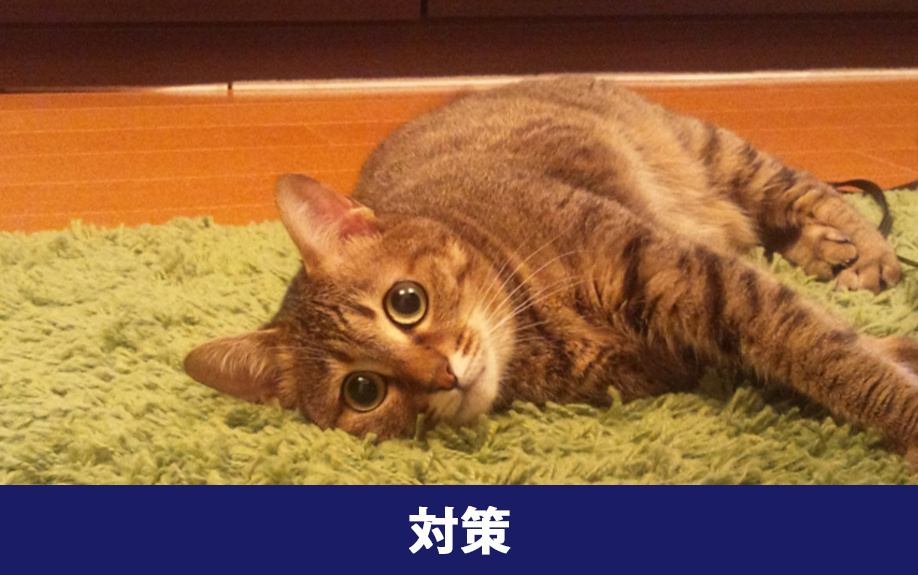 ペット可賃貸物件の退去費用対策