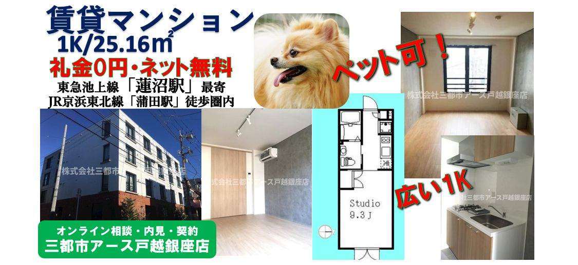 【ラティエラ西蒲田】ペット可・ネット無料・礼金0円・広めの1K
