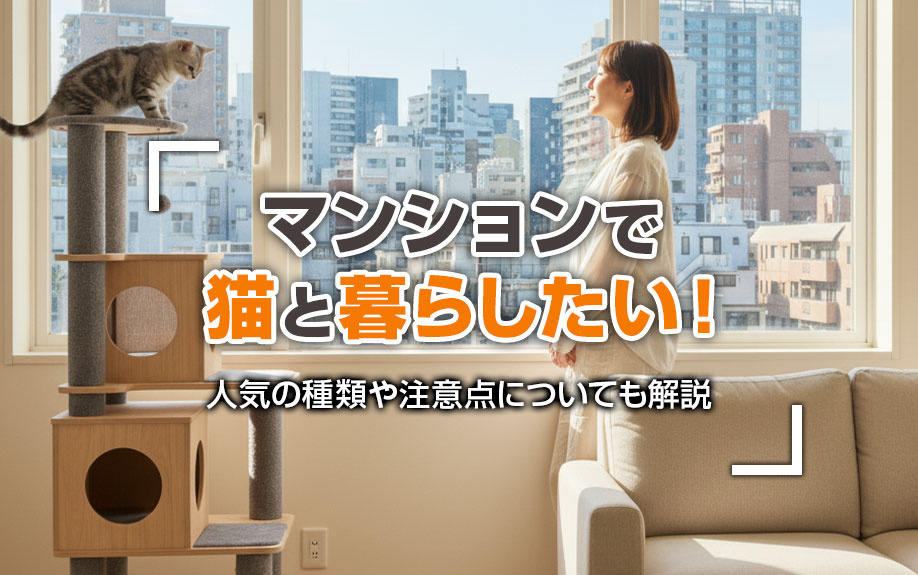 マンションで猫と暮らしたい!人気の種類や注意点についても解説