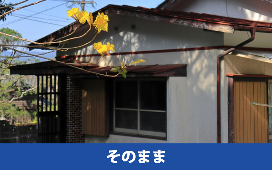 空き家をそのままの状態で処分する方法のメリットとデメリット