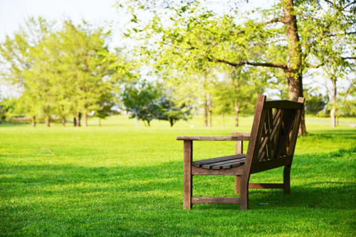 中央公園 茅ヶ崎市 椅子