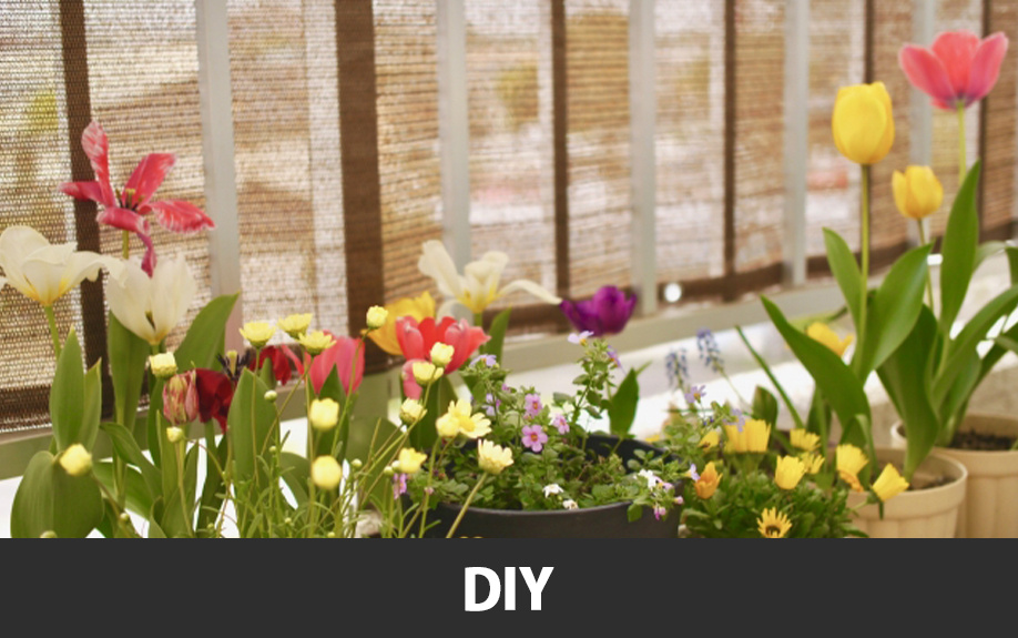 賃貸物件でできるベランダの目隠しDIY