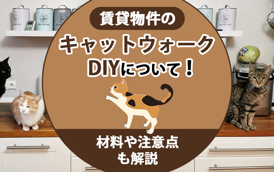 賃貸物件のキャットウォークDIYについて!材料や注意点も解説